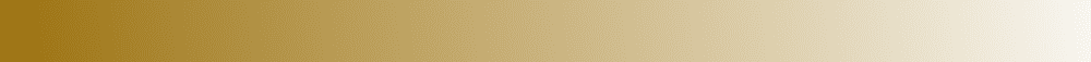 Rectangle 13152