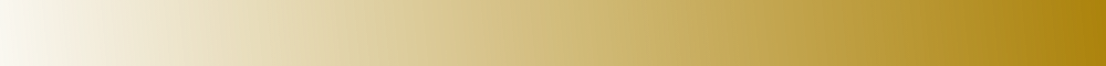 Rectangle 13170