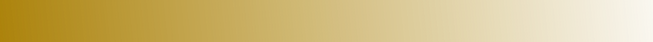 Rectangle 13535