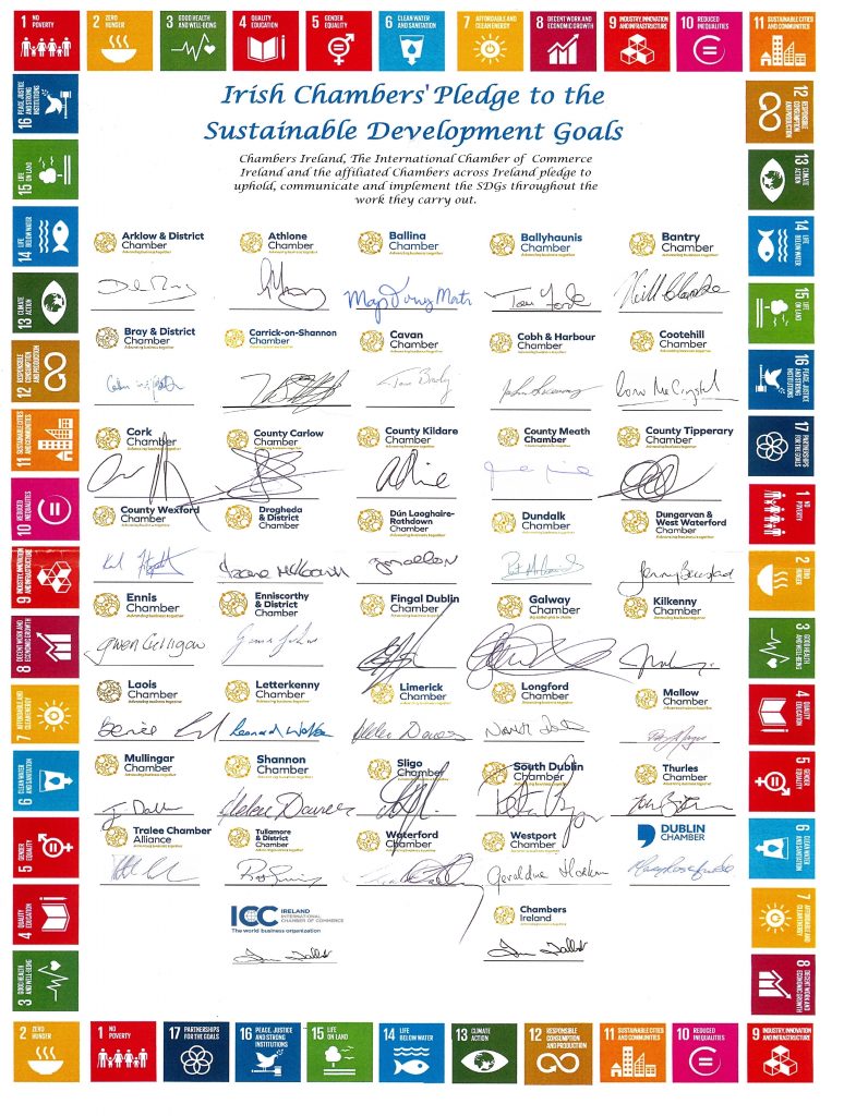 SDG Pledge amended for website 774x1024 1